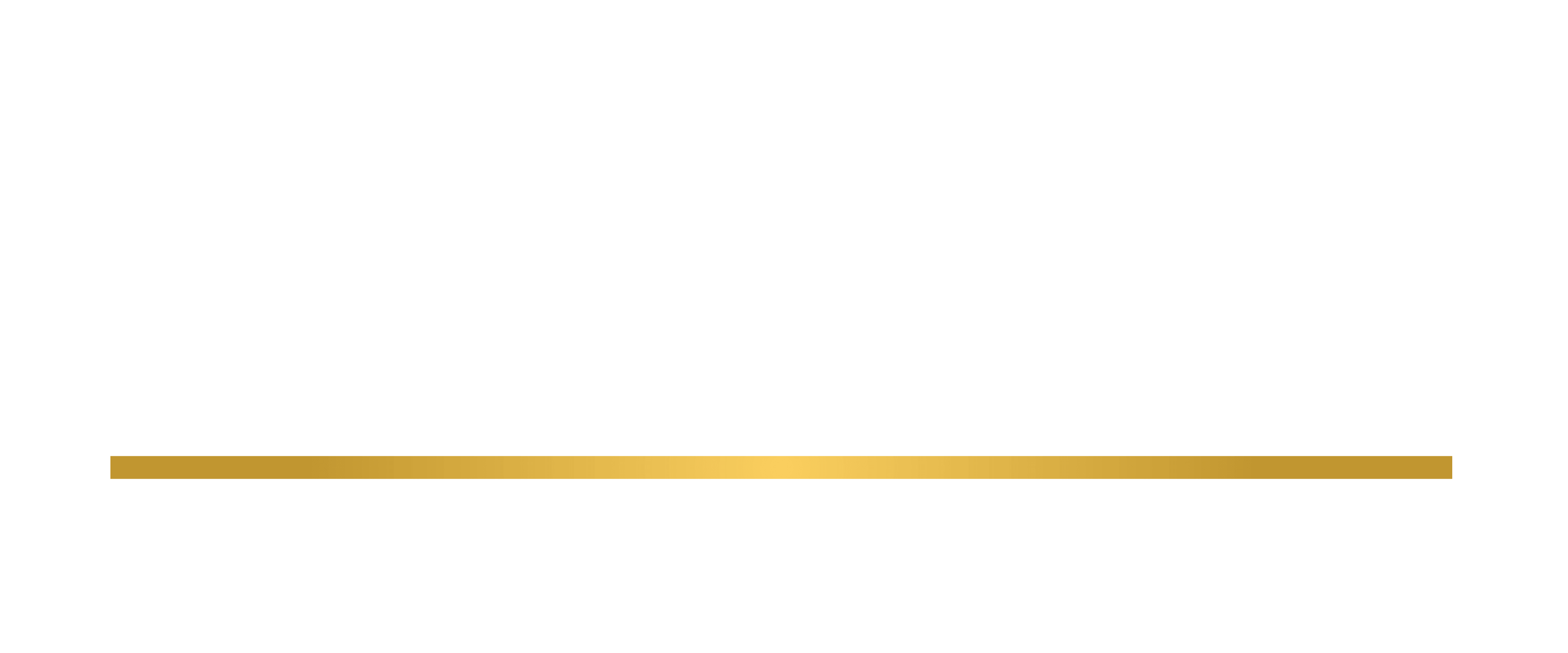 BIG BINVEST INTERNATIONAL GROUP LOGO blanco